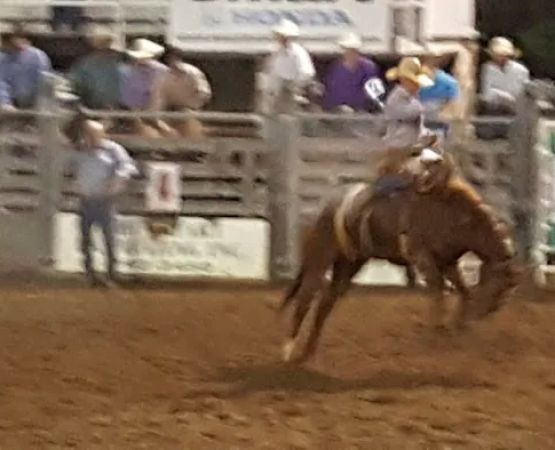 Dallas County Fair Campgrounds