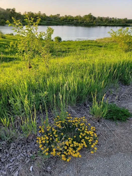 Beaver Lake Campground 4