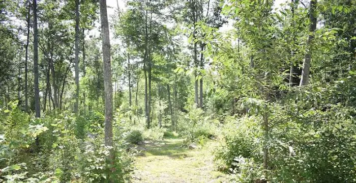 Private RV/Camp Site 0