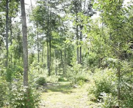 Private RV/Camp Site