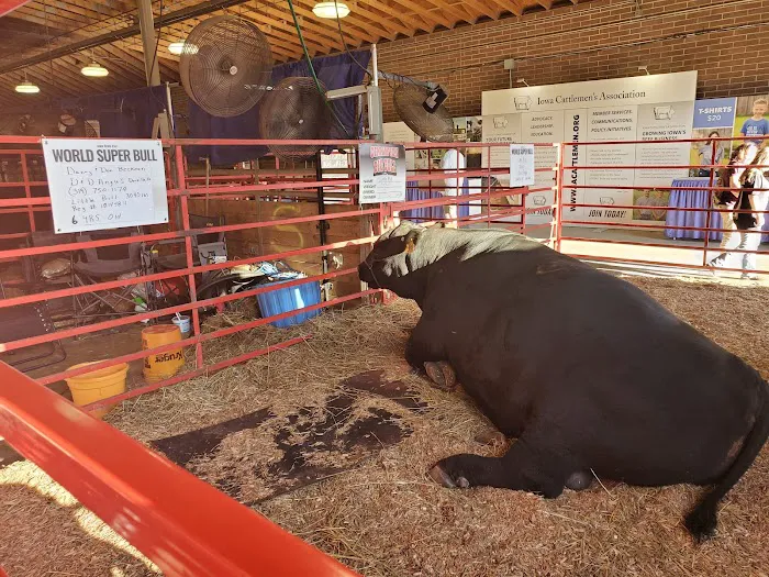 Iowa State Fair Campgrounds 5