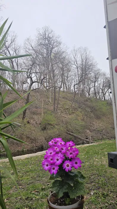 Thomas Mitchell Campground 1