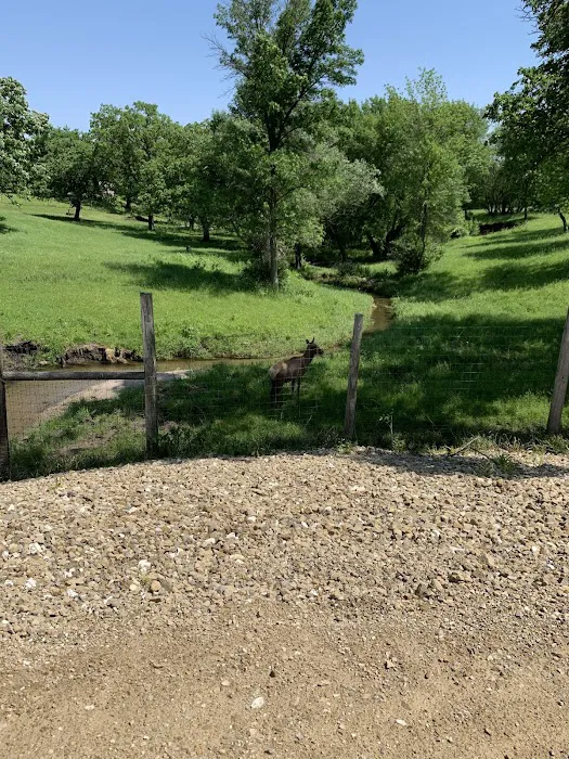 Gehrke's Lake and Campground 8