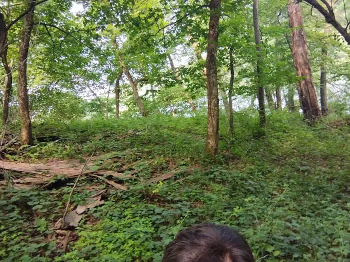 Pine Lake State Park Campground 9