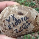 Pine Lake State Park Campground