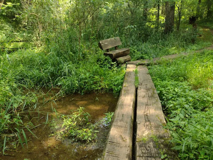 Pine Lake State Park Campground 5