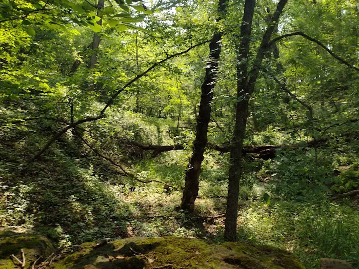 Pine Lake State Park Campground 6