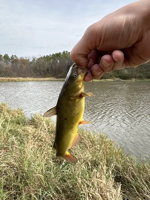 Mine Pond Campground 4