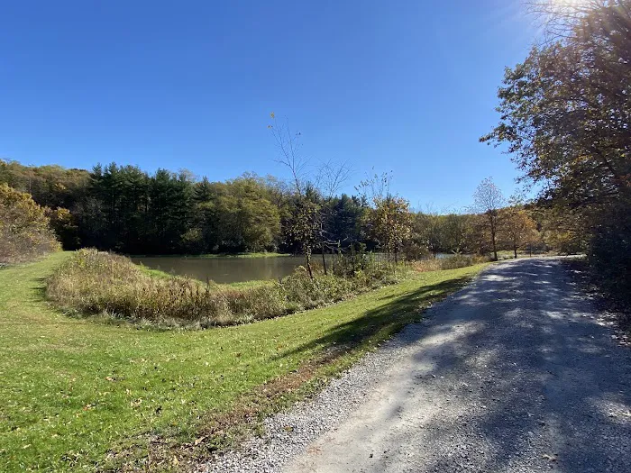 Mine Pond Campground 3