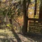 Mine Pond Campground