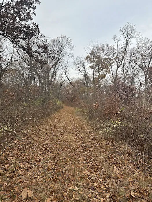 Mine Pond Campground 9