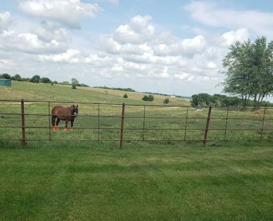 Singing Mesa Ranch