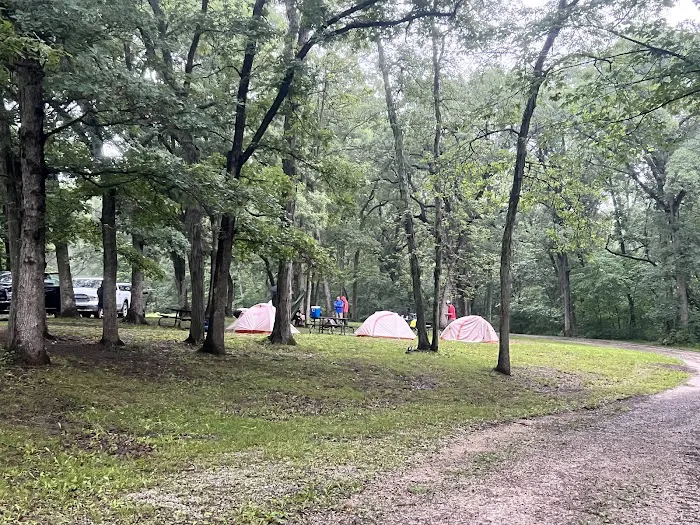 Stephen’s Forest Boy Scout Camp Y0003 1