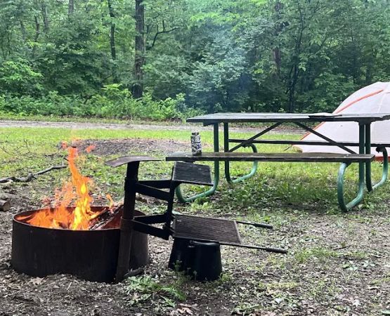 Stephen’s Forest Boy Scout Camp Y0003
