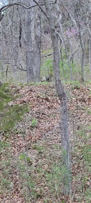 Shawnee Mission Park Campsite & Youth Camp 2 3