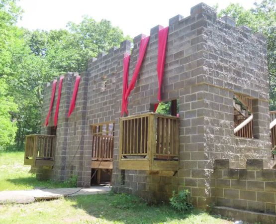 Cub World Castle