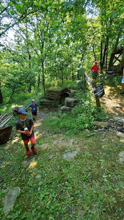 Cub World Campfire Arena 0