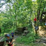 Cub World Campfire Arena