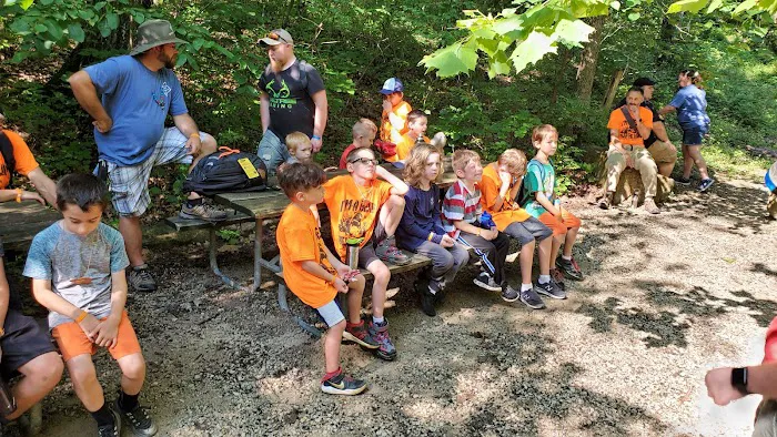Cub World Campfire Arena 1