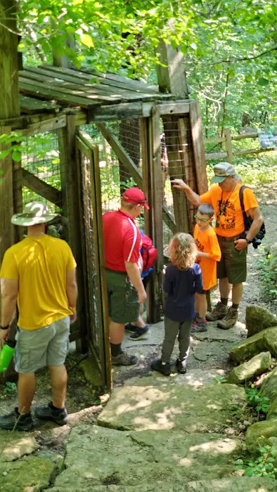 Cub World Campfire Arena 4