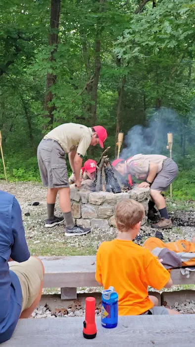 Cub World Campfire Arena 5