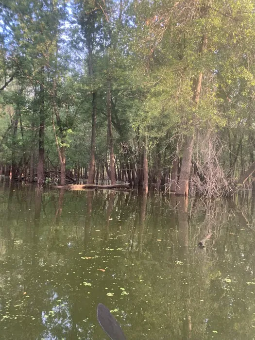 Lake Odessa Campground 8
