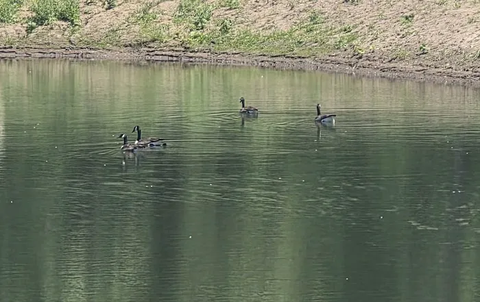 Hidden Lake 3