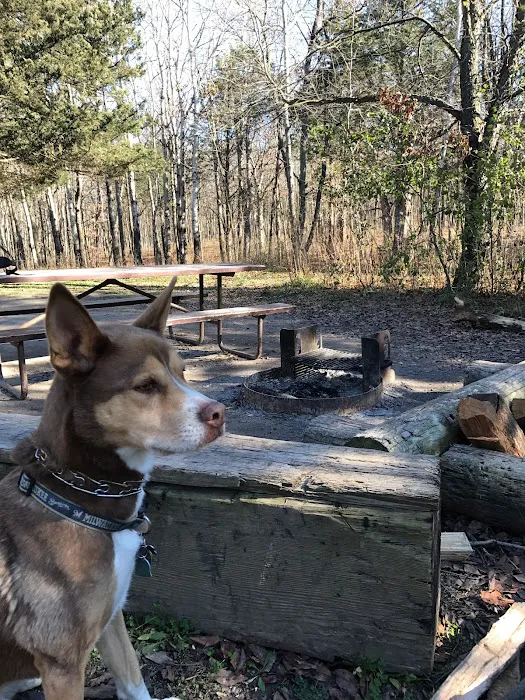Lapham Peak Backpacking Campsite 0