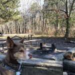 Lapham Peak Backpacking Campsite