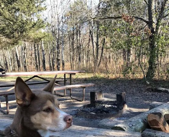 Lapham Peak Backpacking Campsite