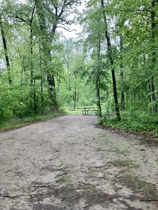 Waupun Park 9