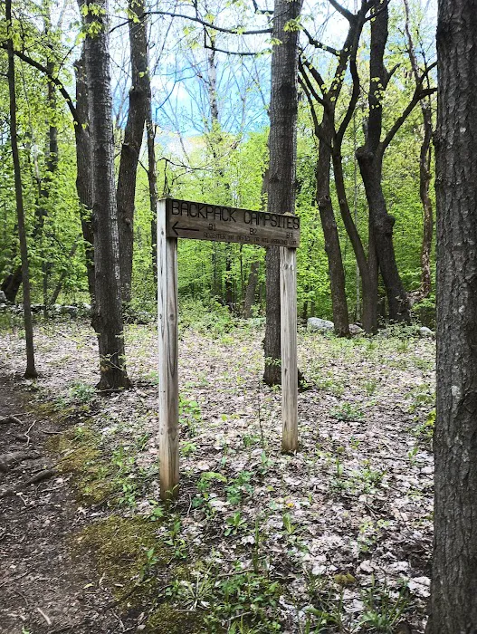 Pike Lake Backpacking Campsites 5