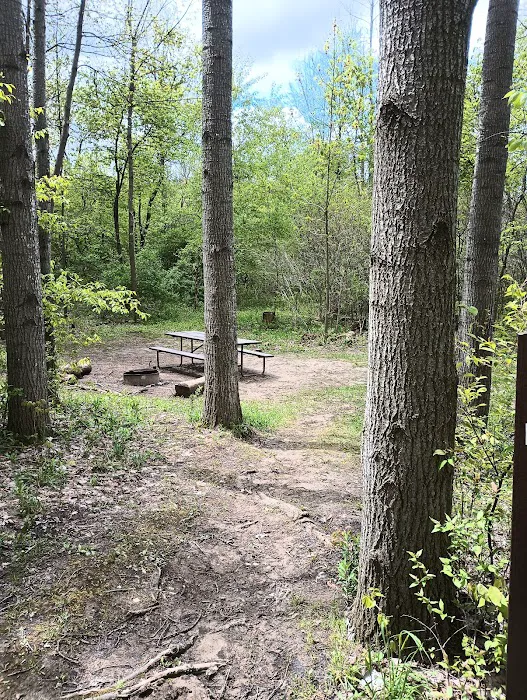 Pike Lake Backpacking Campsites 6