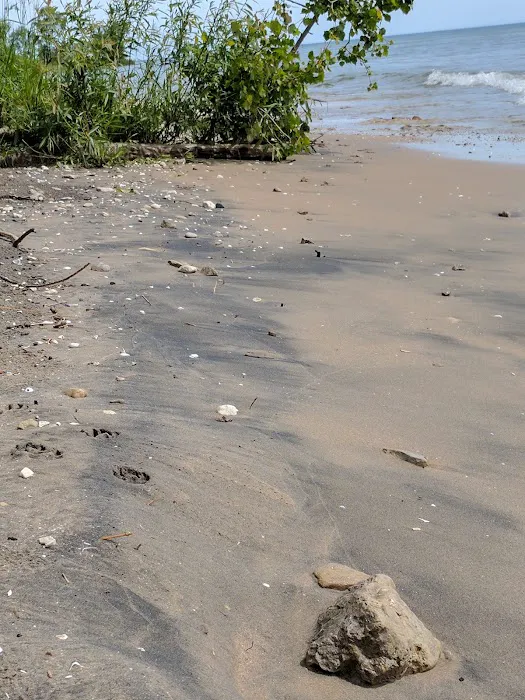 Harrington Beach Campground 8