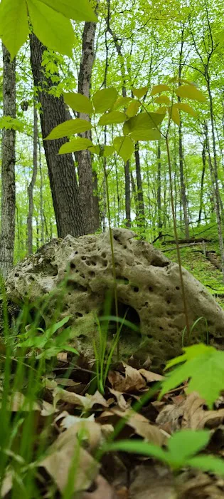 Greenbush Campground 2