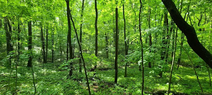 Greenbush Campground 5