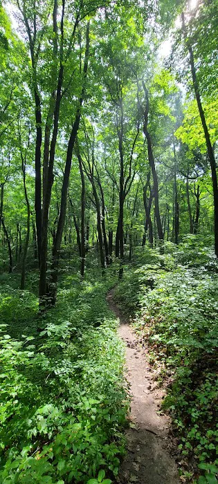 Greenbush Campground 7