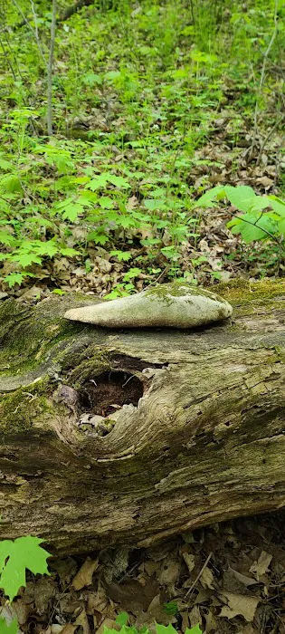 Greenbush Campground 4