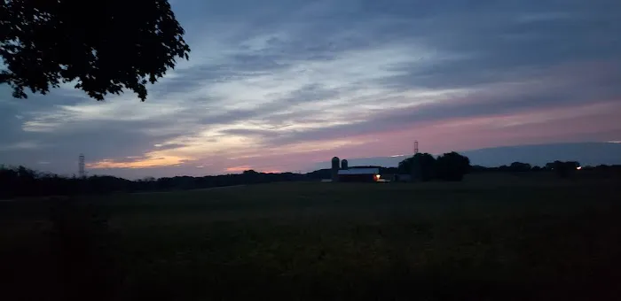 Marsh Campground 6
