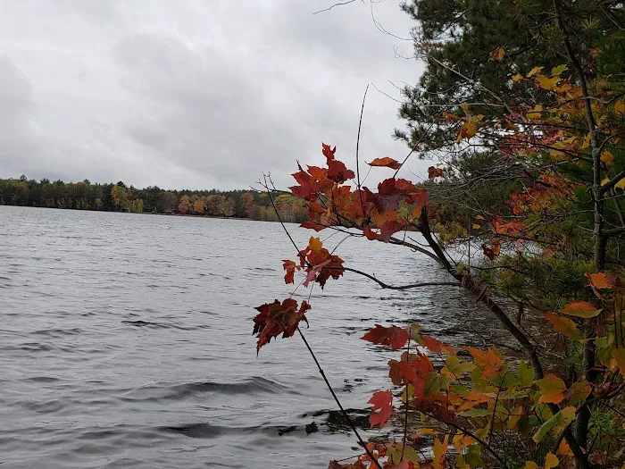 Musky Lake Campground 4