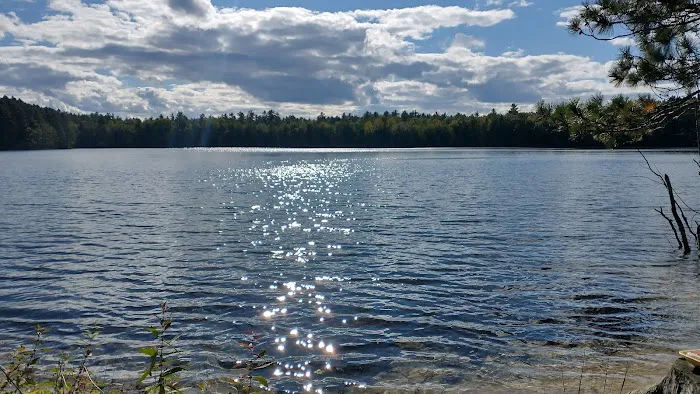Firefly Lake Campground 3