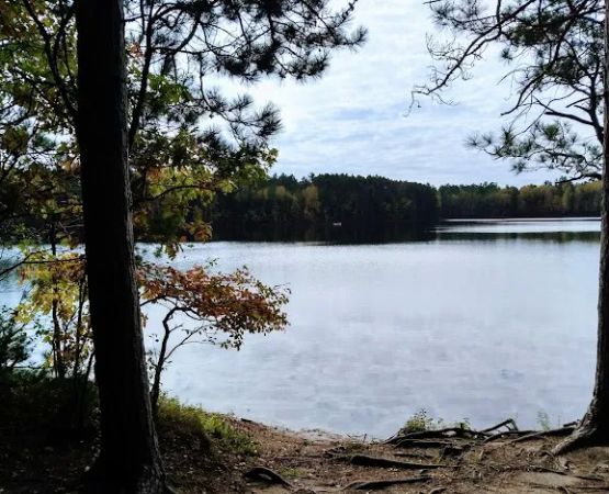 Firefly Lake Campground