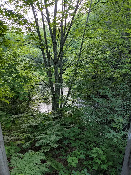 South Trout Lake Campground 7