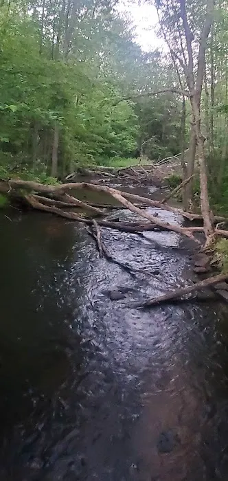 South Trout Lake Campground 3