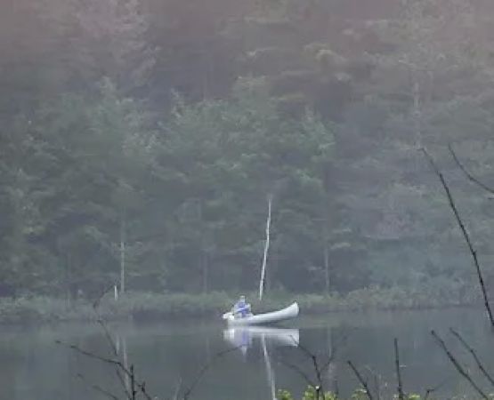 Starrett Lake Campground