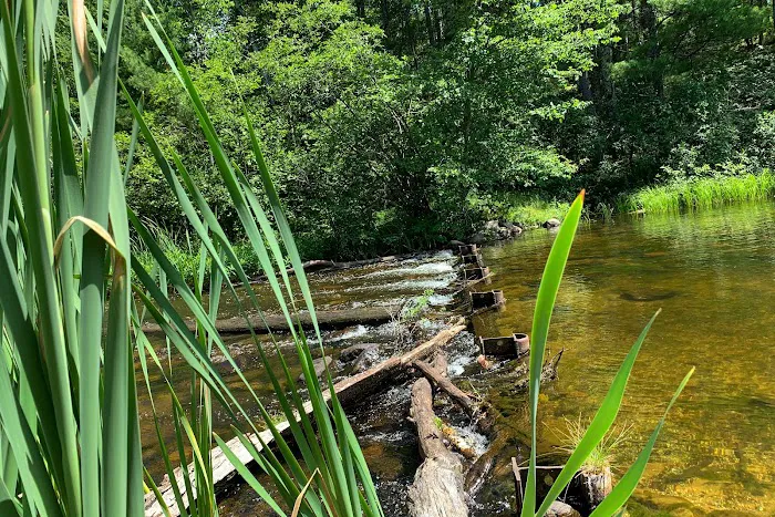 Plum Lake Campground, Northern Highland American Legion State Forest 3