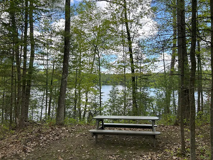 Punch Lake Campground 2