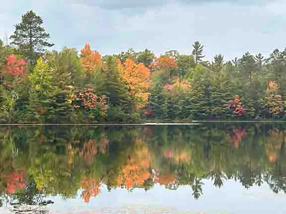 Punch Lake Campground 4
