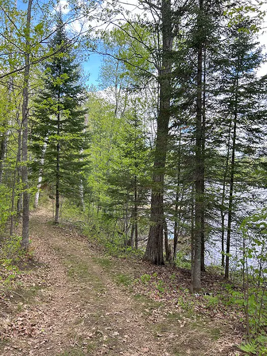 Punch Lake Campground 5