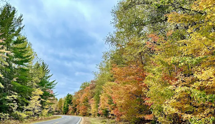 Razorback Lake Campground 4